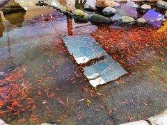 -鸿通城购物中心