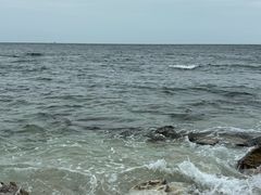 -养马岛旅游度假区