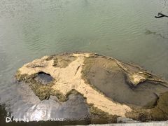 -靖西鹅泉风景区