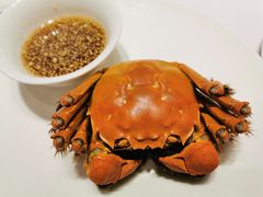 -新吉士·上海菜(浦东LCM置汇旭辉店)