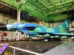 -泰达航母主题公园