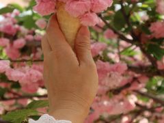 -广东花都香草世界旅游度假区