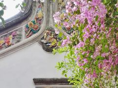 -深圳国际园林花卉博览园