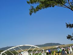 -光明小镇欢乐田园