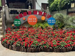 -上海醉白池公园
