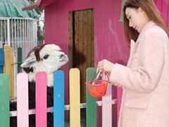 -上海佘山世茂艾美酒店