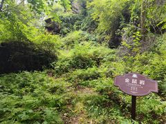 -汤旺河林海奇石景区