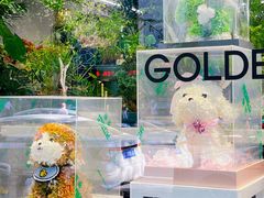 -靳晖金百合花艺GOLDENLILY(南院门店)