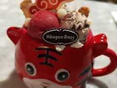 虎虎生威外带冰淇淋杯-哈根达斯(天河城店)