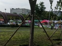 -保定市动物园