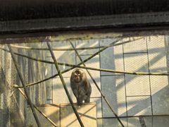 -石排湾郊野公园