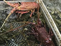 -霞涌市场海鲜摆卖区