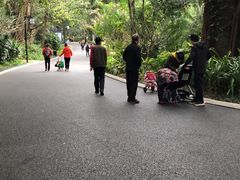 -南宁南湖公园