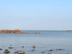 -小麦岛公园