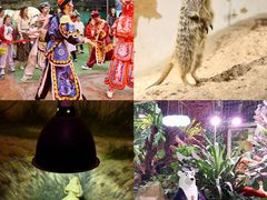 -正佳雨林生态植物园