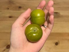 -歎雪糕低糖低脂Gelato冰淇淋