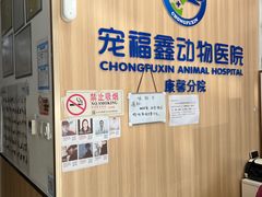 -宠福鑫康馨动物医院·骨科·眼科