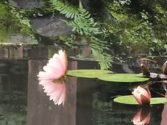 -望江楼公园
