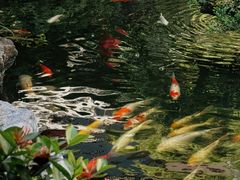 -聚福宝合苑食府(南头镇店)