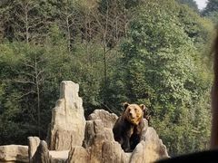 -杭州野生动物世界
