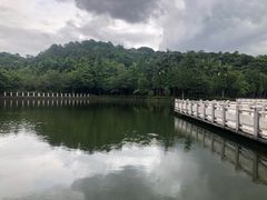 -西樵山风景名胜区-天湖公园