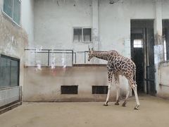 -成都动物园