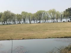 -闻莺馆(柳浪闻莺店)