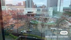 -生命加•Q考拉月子会所(玫瑰园店)