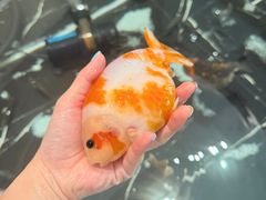-三条石历史博物馆