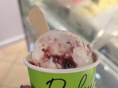 -Dooley's Premium Ice Cream