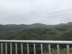 -宁波浙东大竹海景区