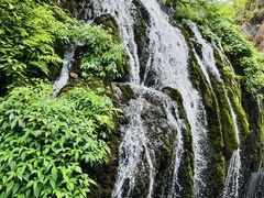 -三峡人家风景区