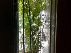 -成都皈徕栖精品酒店(四川大学九眼桥店)