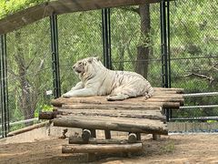 -北京野生动物园