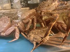 -阳光码头海鲜火锅(世纪大道店)