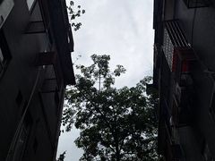 -华林禅寺