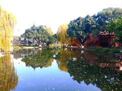 -西南交通大学(九里校区)