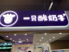 门面-一只酸奶牛(八一路店)