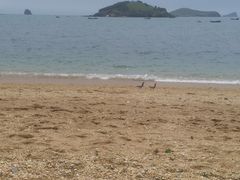 -故乡家韩国料理(丹东街店)