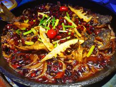 -老板恋上鱼(恒隆广场店)