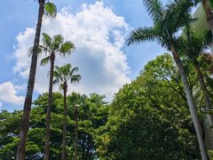 -东莞塘厦三正半山温泉酒店·沙利文西餐厅
