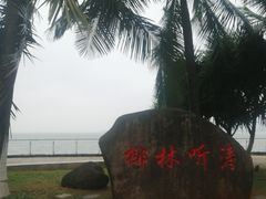 -万绿园