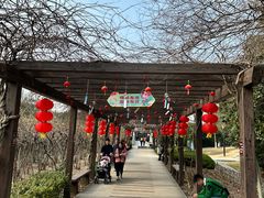-白马涧龙池景区