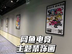 -网鱼电竞(广州百脑汇店)