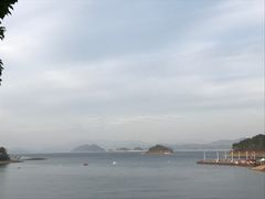 -桂桂茶(恒基名人店)