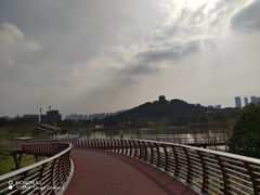 -王借岗森林公园