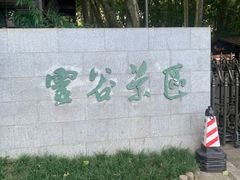 -灵谷景区