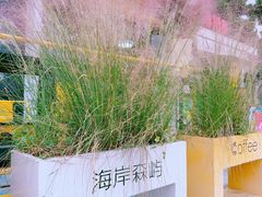 -日照海滨国家森林公园