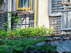 -颐和路民国时期公馆风貌区