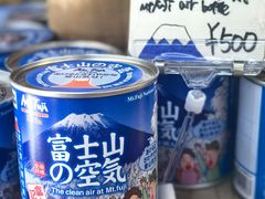 -富士山吉田線五合目